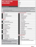 NBSS belt selection worksheet