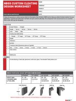 NBSS custom belt cleating design worksheet